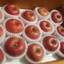 아미산농장 이미지