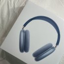 꽃그늘 아래_
