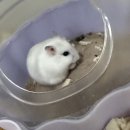 서산아크릴 네이버블로그