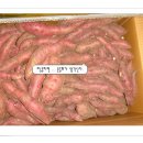 송곡주유소 이미지