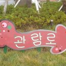 제주러브랜드 이미지