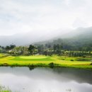 골프존카운티 더골프 이미지