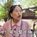 전원