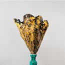 뉴타입매스 이미지