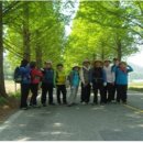 영산강뚝방길 이미지