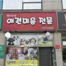 강아지 마을 | “우리 강아지가 달라졌어요! 중산마을 짱이야애견미용 솔직후기”