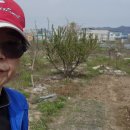 관리농장 이미지