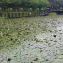 강남3급정비 네이버블로그