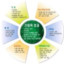 푸른숲청소 이미지
