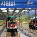 영농형 태양광으로 벼농사보다 7배 수익 보성서 실증 기사 이미지