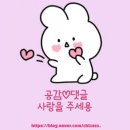 더리터목포평화