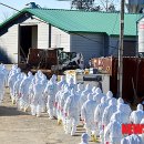 병성농장 이미지