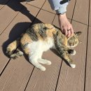 몽글몽글 이미지