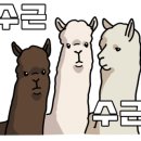 우정카센타 이미지