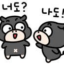 러시안마트 이미지