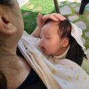 서영이 할머니네 이미지