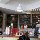 코델리아 이미지