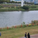 시민세이프티 이미지