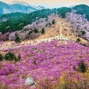 882 이미지