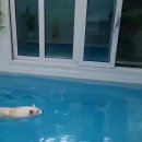 유플레이스 이미지