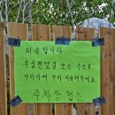 숲이랑농원 | 청주 가볼만한 곳 수피아자작나무농원 정하동 자작나무 숲 후기