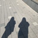 금천구 보건소 선별진료소 다녀온 후기 공휴일도 가능한 선별진료소 24시간 가능한 검사소