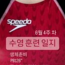 횡성실내수영장 이미지