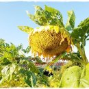 항구모텔 이미지