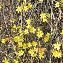 산수유동물병원 이미지