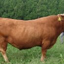 동량축산 이미지