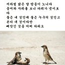 바람피다 걸렸을 때 이미지