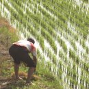 고탄리 마을회관 | [열 번째 마실 – 사북면 고성리]
