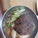 군산맛집 군산냉면집 복어 생선매운탕 풍원식당 알려지지 않은 군산맛집 복국 생선탕맛집 이미지