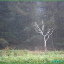 이주산농장 Daum카페