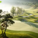 장평골프연습장 이미지