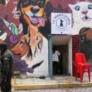 희망애견미용실 이미지