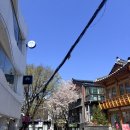 북촌로 | 창경궁 한복스냅 <뷰티팰리스> 북촌 봄유스냅 웨딩 메이크업 후기