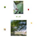 찐찐라이프