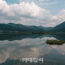 백제가요정읍사오솔길(2코스 내장호 수변데크) 이미지