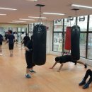 강성주 복싱클럽 이미지