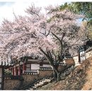 밀양향교 이미지