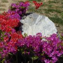 경북미용예술고등학교 이미지