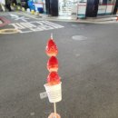 악쓰는하마코인노래연습장 가로수길점 이미지