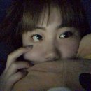 부베베 이미지