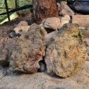 수석농장 이미지