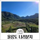 울릉해수목욕탕 | 울릉도 렌트카 가격 | 나리분지 알봉 | 저동항 맛집 아리랑김밥 전주최부잣집