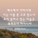 [요한복음 20:29] 예수께서 가라사대 너는 나를 본 고로 믿느냐 보지못하고 믿는 자들은 복되도다 하시니라 이미지