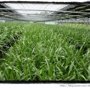 호현농장 이미지