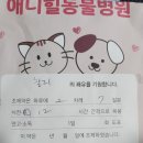 애니힐동물병원 이미지