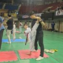 숲 태권도장 이미지